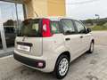 Fiat Panda Panda III 2017 1.2 Easy 69cv Beige - thumbnail 3