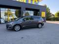 Ford S-Max S-MAX Titanium 2.0 EcoBlue SCR Aut. Titanium Grau - thumbnail 1