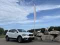 Suzuki S-Cross 1.4 AUTOMAAT Boosterjet Stijl PANO DAK ADAPT CRUIS Weiß - thumbnail 6