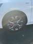 Ford Focus ST-Line Style Weiß - thumbnail 3