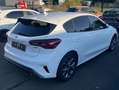 Ford Focus ST-Line Style Weiß - thumbnail 5