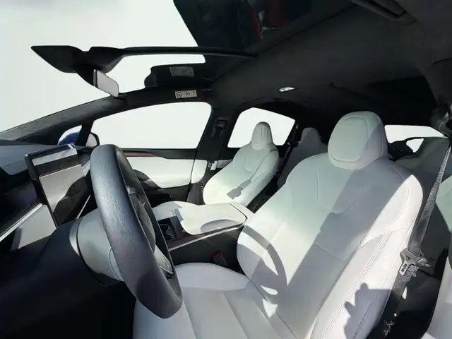 Tesla Model X view 10