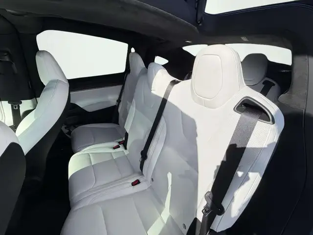 Tesla Model X view 11