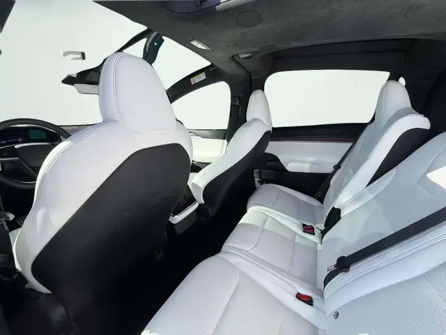 Tesla Model X view 12