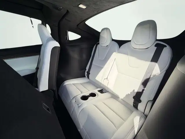 Tesla Model X view 13