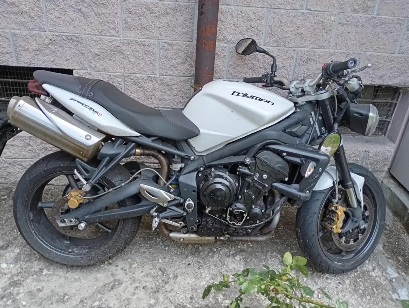 Triumph Street Triple 675 R Blanc - 1