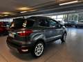 Ford EcoSport EcoSport 1.0 ecoboost Titanium 125cv Grigio - thumbnail 5
