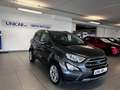 Ford EcoSport EcoSport 1.0 ecoboost Titanium 125cv Grigio - thumbnail 2