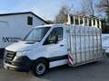 Mercedes-Benz Sprinter III Kasten 314 CDI HEGLA AUFBAU* GLASTRANSPORT Blanc - thumbnail 11