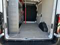Ford Transit Kastenwagen 290 L2 Trend Apple CarPlay Android Aut Weiß - thumbnail 6