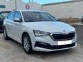 Skoda Scala 1.0 TSI Ambition 81kW Blanc - thumbnail 6