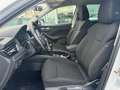 Skoda Scala 1.0 TSI Ambition 81kW Blanc - thumbnail 12