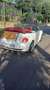 Volkswagen New Beetle Cabrio 1.6 limited Red Edition - thumbnail 1