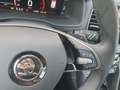 Skoda Karoq Selection 1.5 TSI AHK Navi Matrix Kamera DigiCock Weiß - thumbnail 22
