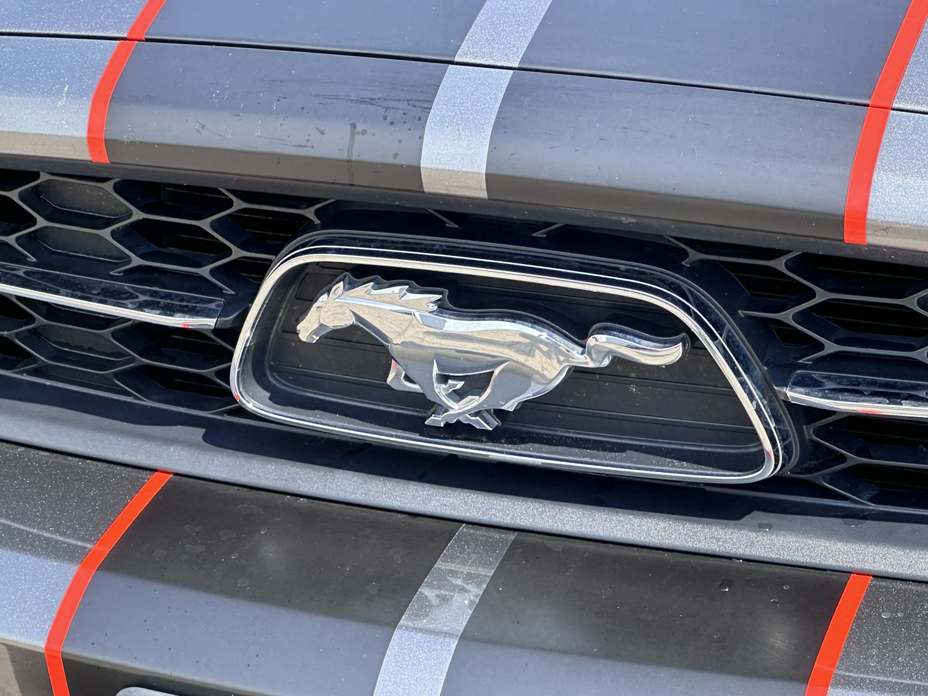 Ford Mustang USA 3.7 V6 — photo 15