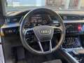 Audi e-tron 50 quattro Garantie 21" Matrix Leder Servicepaket White - thumbnail 11