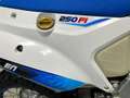 PIT Racing MOTO TM 4T 250 FI EN ES KYB RP TM White - thumbnail 15