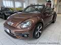 Volkswagen Beetle Cabrio 2.0 TDI - nur 64 tkm - FENDER XENON KAMERA Braun - thumbnail 28