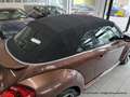 Volkswagen Beetle Cabrio 2.0 TDI - nur 64 tkm - FENDER XENON KAMERA Braun - thumbnail 11