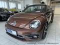 Volkswagen Beetle Cabrio 2.0 TDI - nur 64 tkm - FENDER XENON KAMERA Braun - thumbnail 27