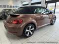 Volkswagen Beetle Cabrio 2.0 TDI - nur 64 tkm - FENDER XENON KAMERA Braun - thumbnail 7