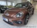 Volkswagen Beetle Cabrio 2.0 TDI - nur 64 tkm - FENDER XENON KAMERA Braun - thumbnail 3