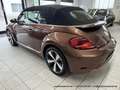 Volkswagen Beetle Cabrio 2.0 TDI - nur 64 tkm - FENDER XENON KAMERA Braun - thumbnail 9