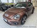 Volkswagen Beetle Cabrio 2.0 TDI - nur 64 tkm - FENDER XENON KAMERA Braun - thumbnail 4