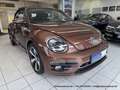 Volkswagen Beetle Cabrio 2.0 TDI - nur 64 tkm - FENDER XENON KAMERA Braun - thumbnail 5