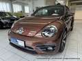 Volkswagen Beetle Cabrio 2.0 TDI - nur 64 tkm - FENDER XENON KAMERA Braun - thumbnail 2