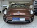 Volkswagen Beetle Cabrio 2.0 TDI - nur 64 tkm - FENDER XENON KAMERA Braun - thumbnail 26