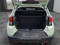 Fiat Grande Panda 1.2 T 100 Pop Grün - thumbnail 11