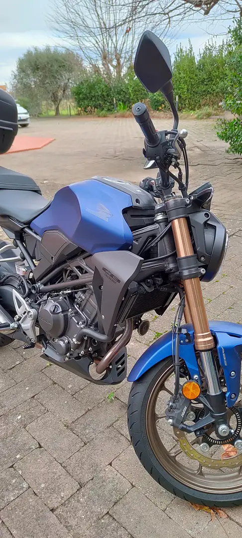 Honda CB 300 R Niebieski - 1
