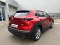 Mazda CX-30 2.0 Skyactiv-G Evolution 2WD 90kW Rojo - thumbnail 7