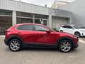 Mazda CX-30 2.0 Skyactiv-G Evolution 2WD 90kW Rojo - thumbnail 4