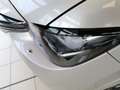 Mazda CX-80 3.3L HOMURA PLUS CAHO 6 Zylinder Grigio - thumbnail 4
