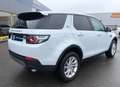 Land Rover Discovery Sport 2.0d 150cv Blanc - thumbnail 3