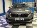 Skoda Karoq Karoq 1.0 TSI Active Grijs - thumbnail 2