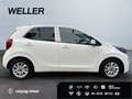 Kia Picanto 1.0 ISG Dream-Team Edition *SHZ*BT*Color* Weiß - thumbnail 10