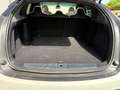 Tesla Model X Performance Ludicrous + / 814PK / Chrome delete / Blanco - thumbnail 15