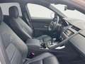 Jaguar E-Pace E-Pace P300 AWD Aut. R-Dynamic SE Grau - thumbnail 3