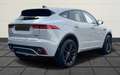Jaguar E-Pace E-Pace P300 AWD Aut. R-Dynamic SE Grau - thumbnail 2