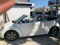 Volkswagen New Beetle New Beetle Cabrio Cabrio 1.9 tdi 105cv Bianco - thumbnail 13