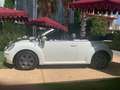 Volkswagen New Beetle New Beetle Cabrio Cabrio 1.9 tdi 105cv Bianco - thumbnail 1