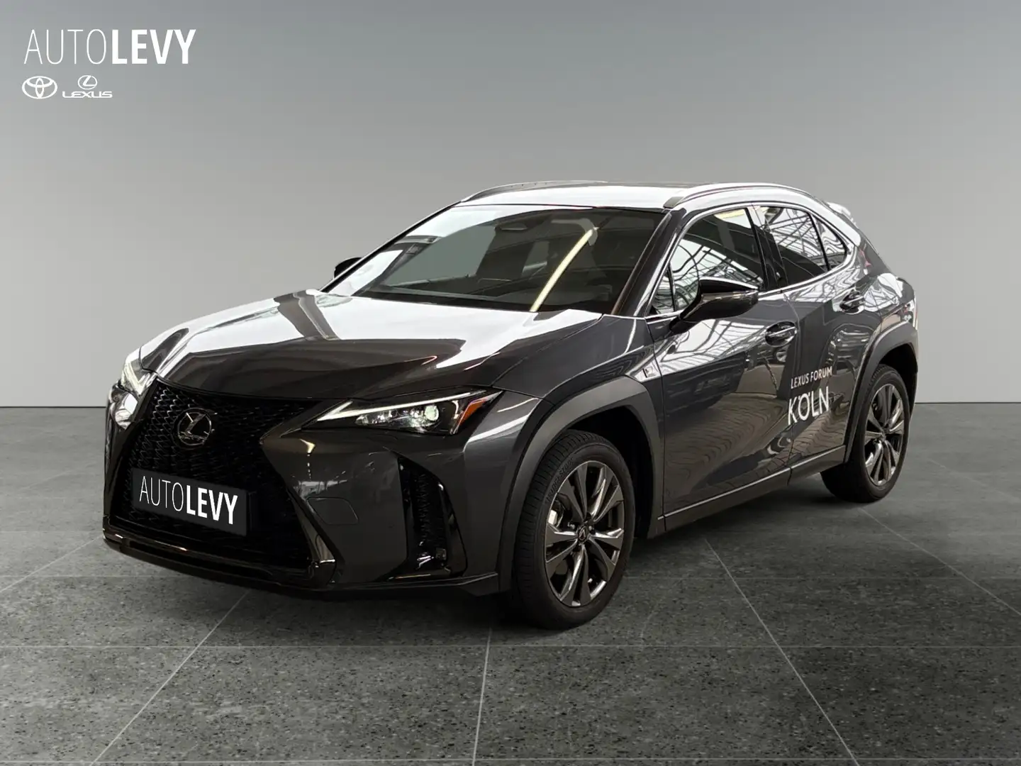 Lexus UX 300e UX 300h F-Sport Design PDC+K.KAMERA+15J GARANTIE Grau - 2
