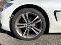 BMW 420 SERIE F36 420d 184 ch Sport A Alb - thumbnail 22