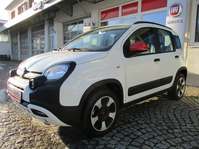 Fiat Panda Red