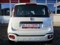 Fiat Panda Red Weiß - thumbnail 6