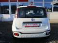 Fiat Panda Red Weiß - thumbnail 5