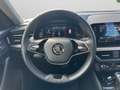 Skoda Kamiq 1.0 TSI 110 CV DSG Style Grigio - thumbnail 9